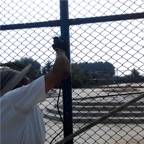 金川4 (4) 金川4 (4)